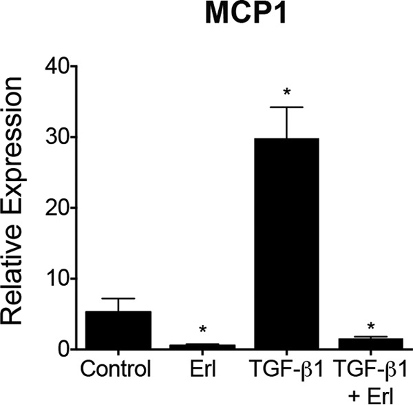 FIGURE 9.