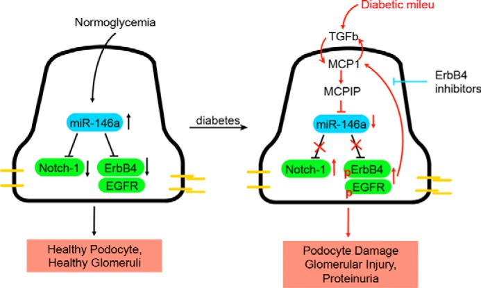 FIGURE 10.