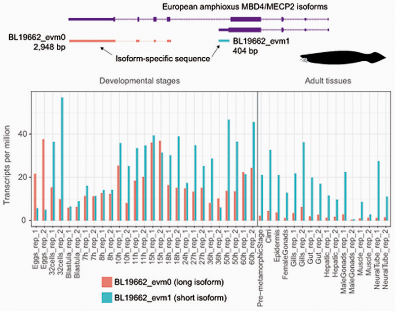 Extended Data Fig. 2