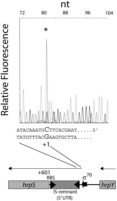 FIG. 2.