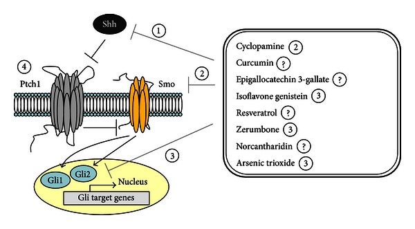 Figure 1