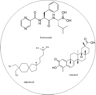 graphic file with name oncotarget-07-79453-g007.jpg