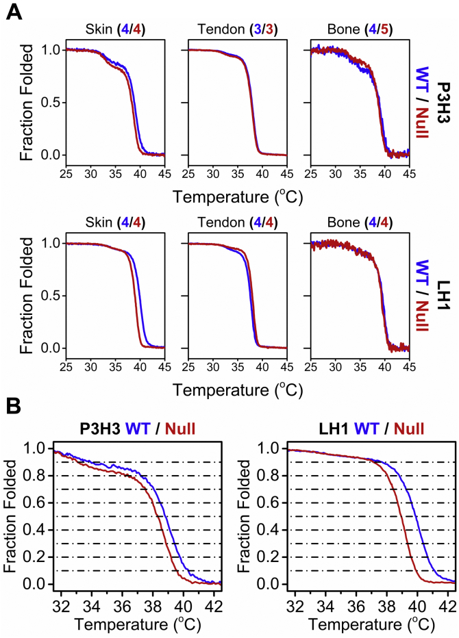 Figure 5