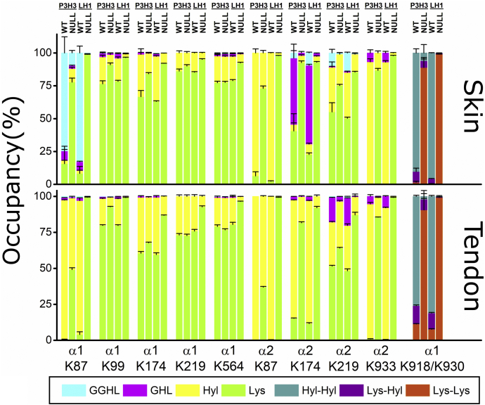 Figure 6