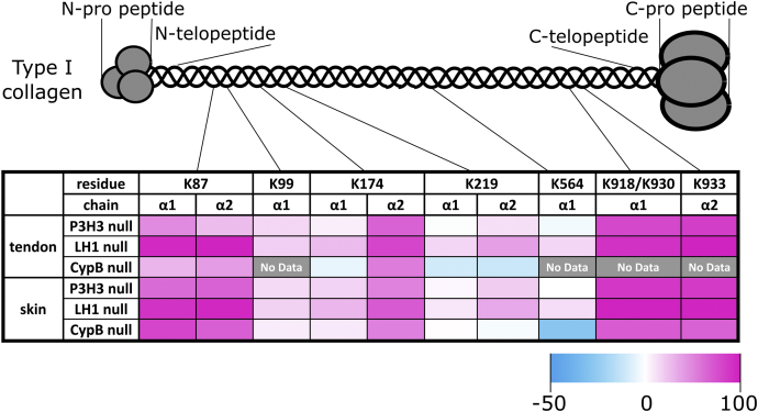 Figure 7