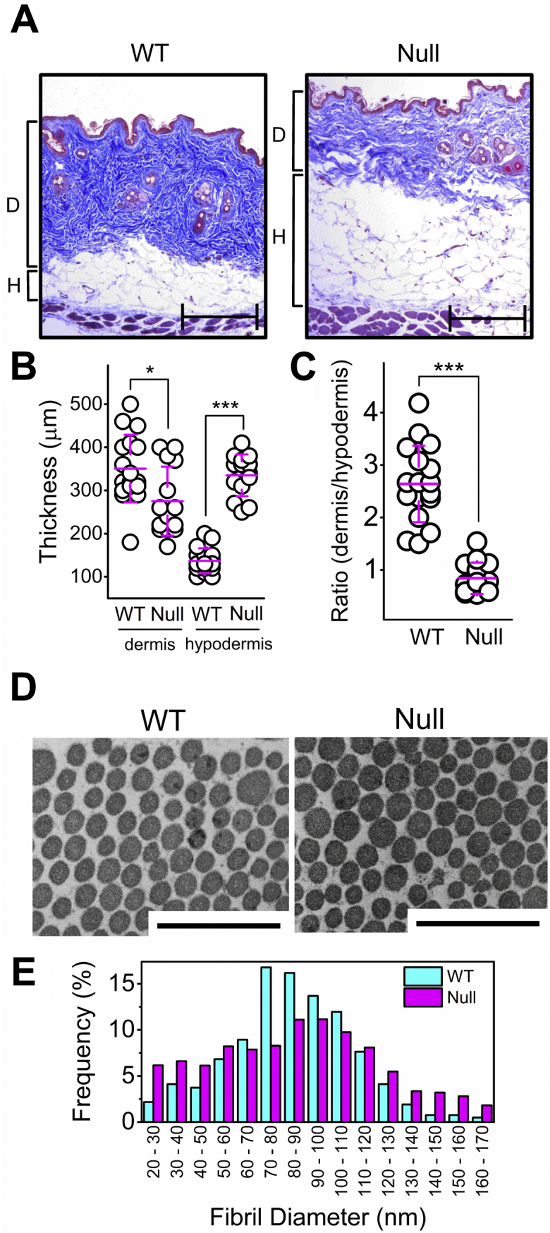 Figure 9