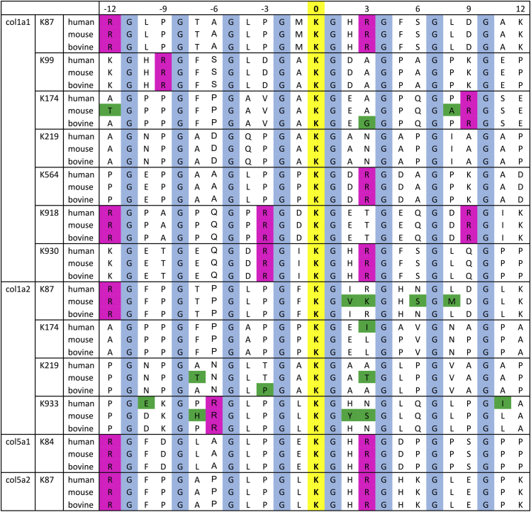 Figure 10