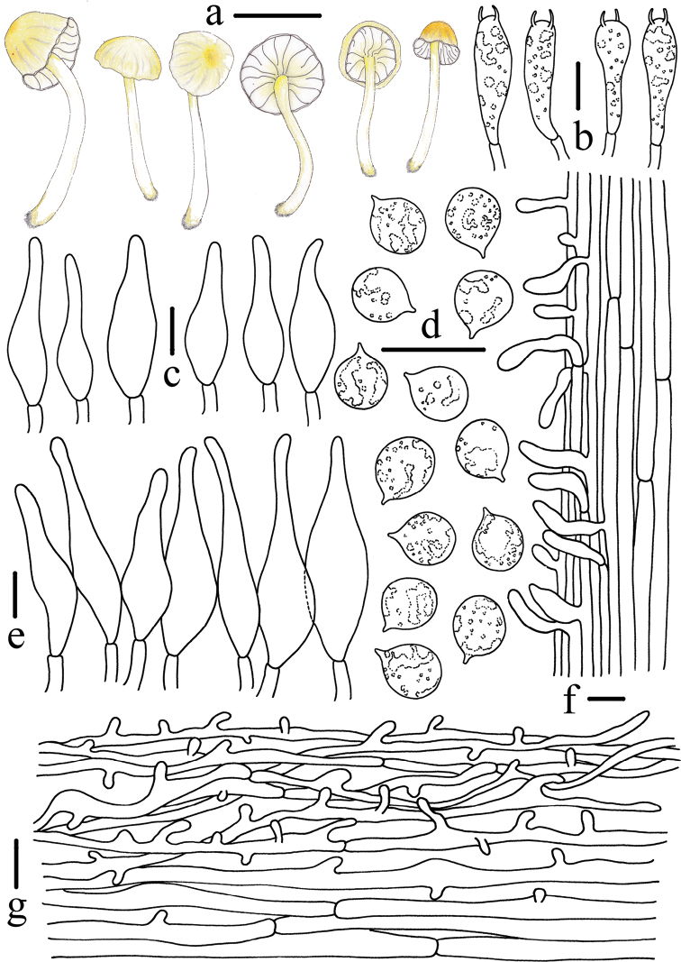 Figure 4.