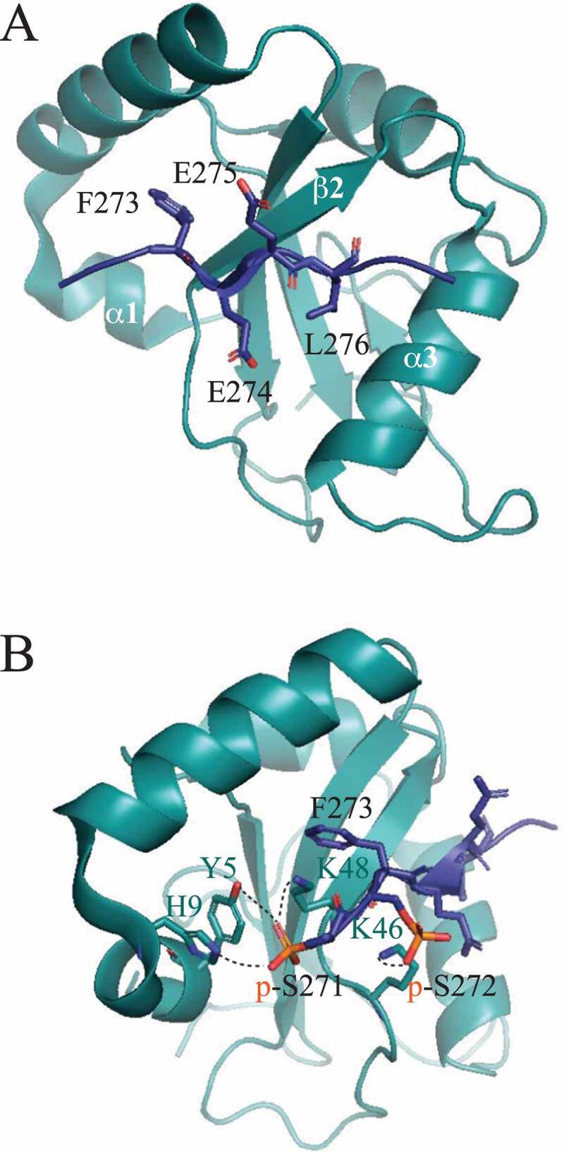 Figure 2.