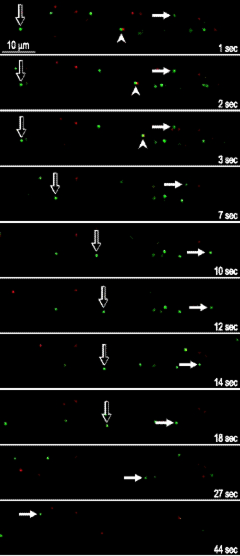 Fig. 5.