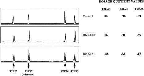 Figure  3