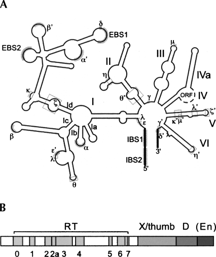 FIGURE 1.