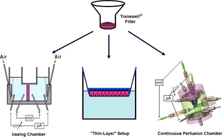 Fig. 1.