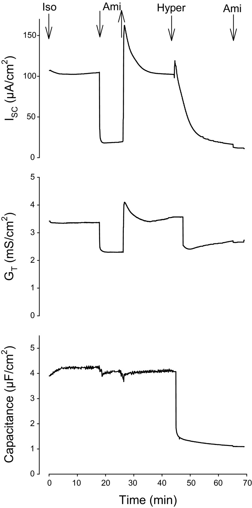 Fig. 2.