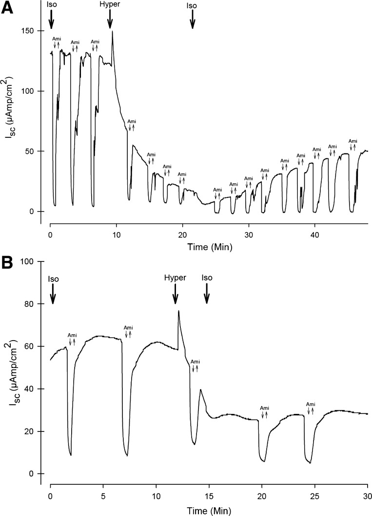 Fig. 4.