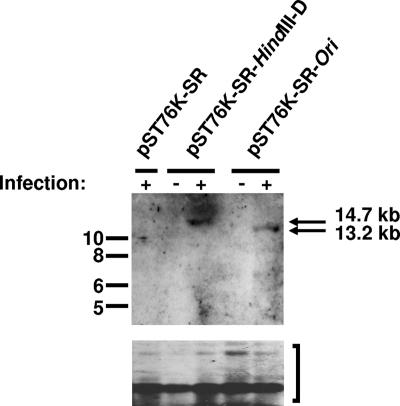 FIG. 5.