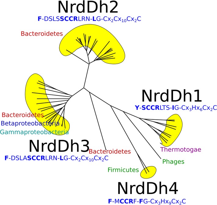 Fig 7