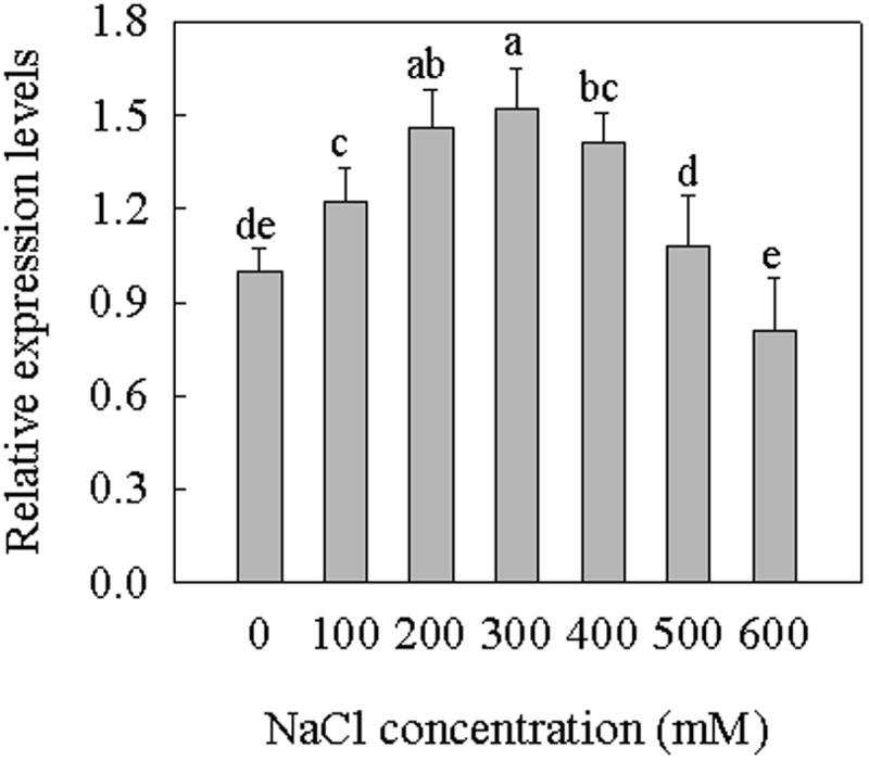 FIGURE 2