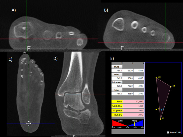 Fig 1.