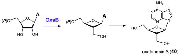 Fig. 13