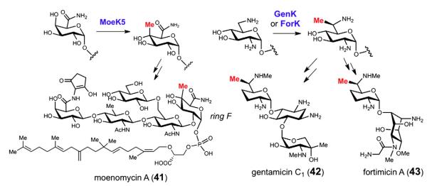 Fig. 14