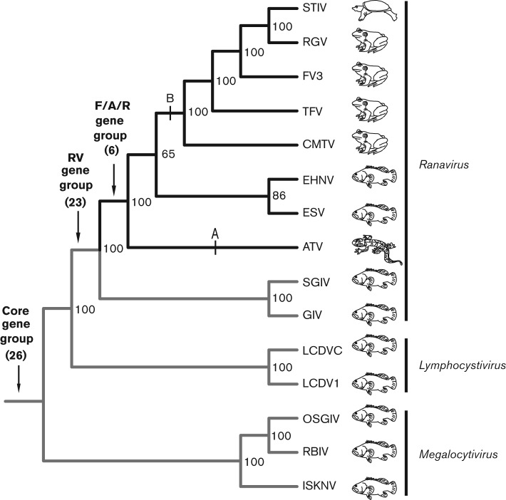 Fig. 2. 