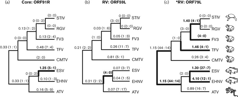 Fig. 3. 