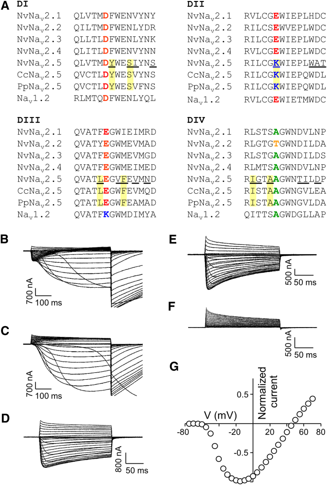 Figure 3