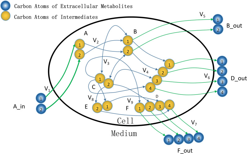 Fig. 1