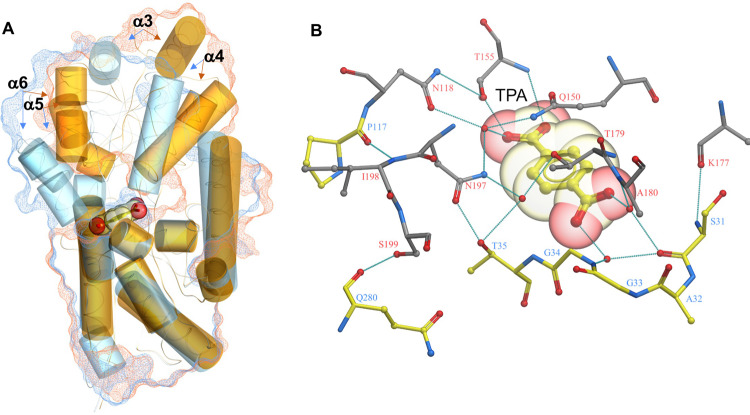 Fig. 6