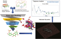 Graphical Abstract