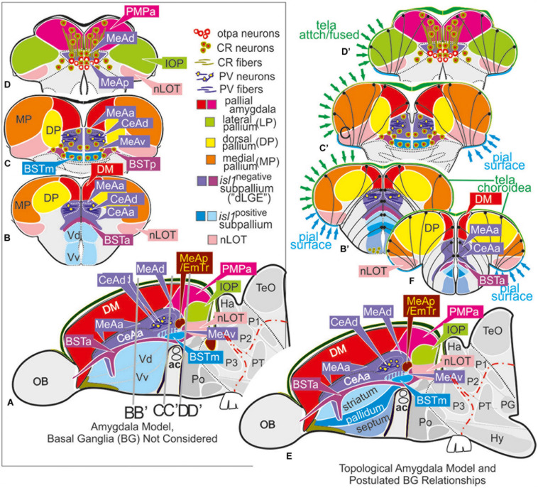 FIGURE 3