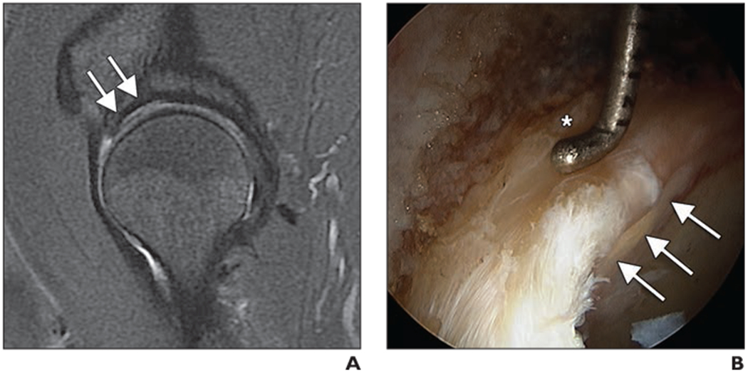 Fig. 7—