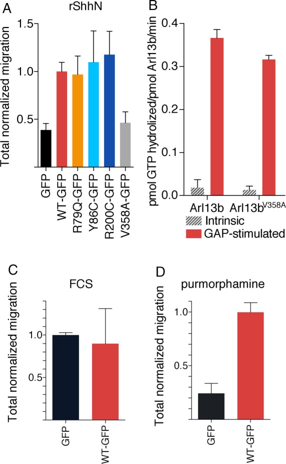 FIGURE 2: