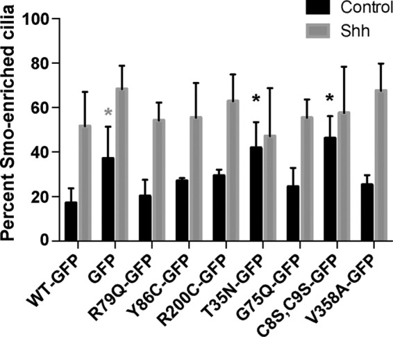 FIGURE 4: