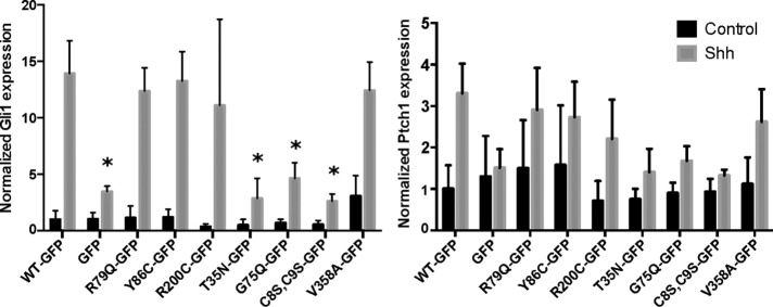 FIGURE 3: