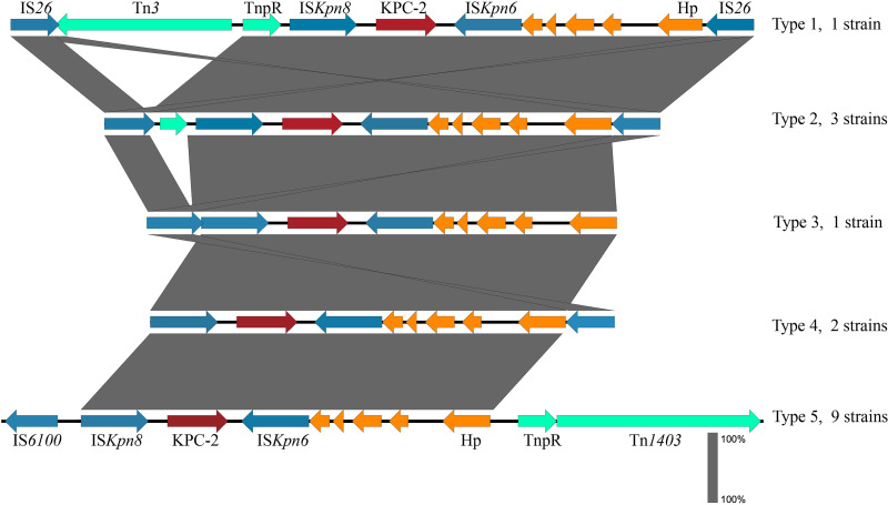 FIG 2