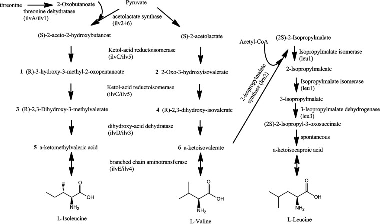 FIG 1