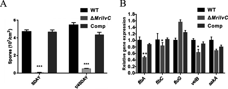 FIG 4