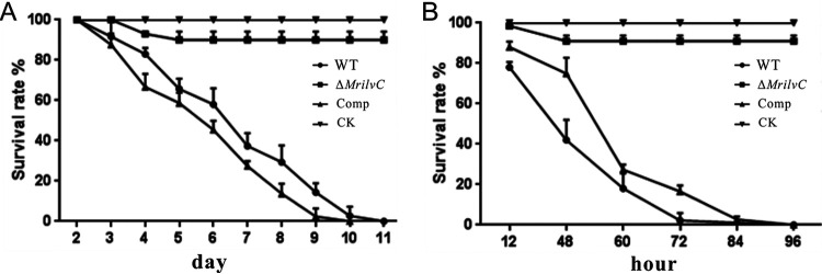 FIG 9