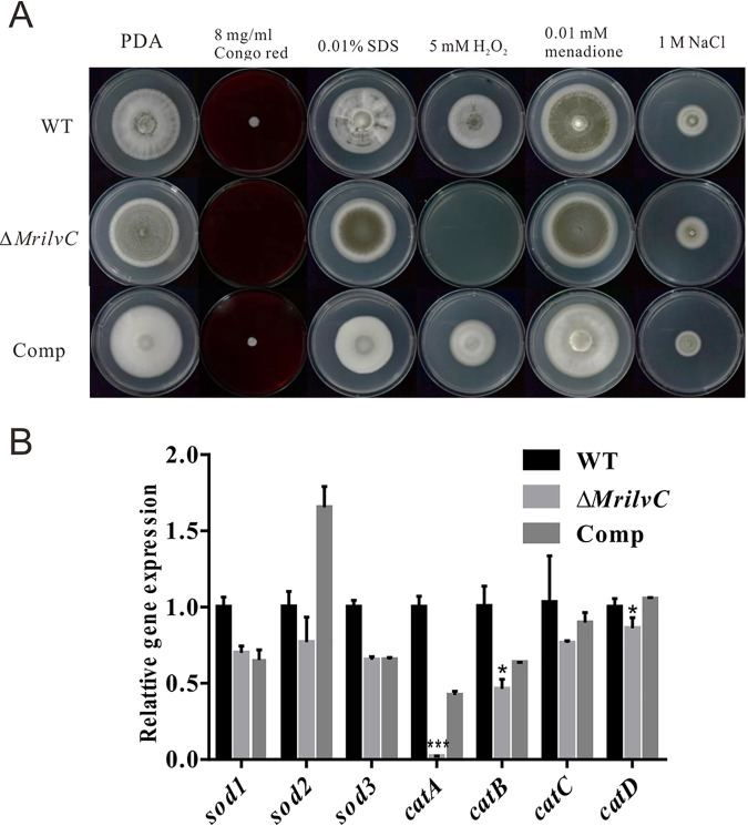 FIG 8