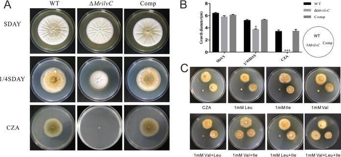 FIG 3