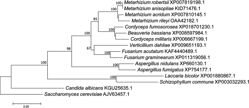 FIG 2