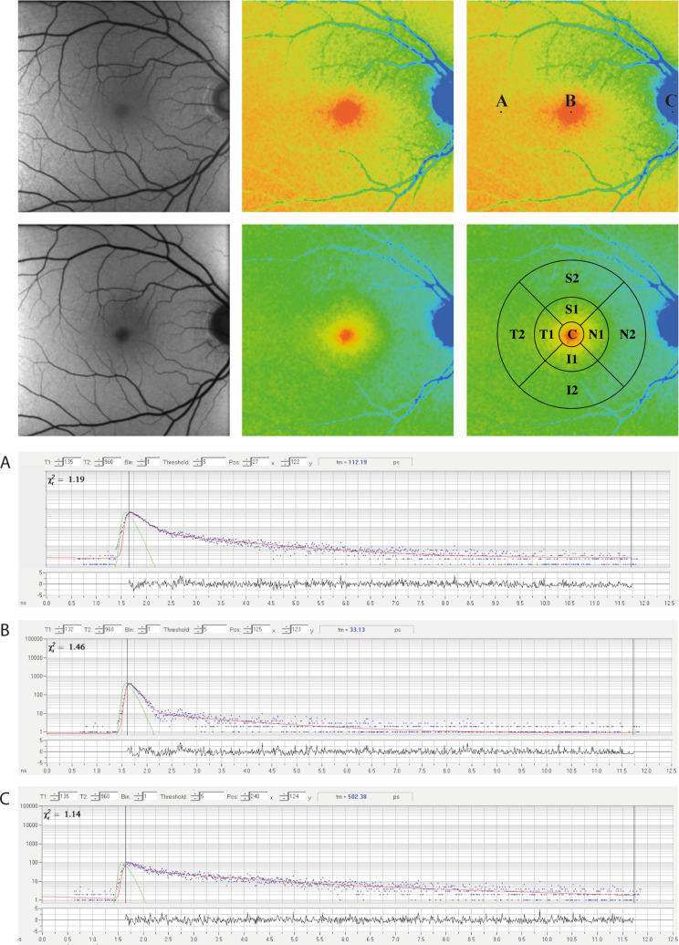 Fig. 1