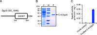 FIG 1