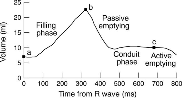 Figure 1  