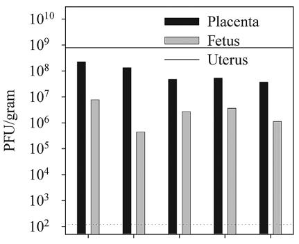 FIG. 4.