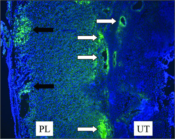 FIG. 6.