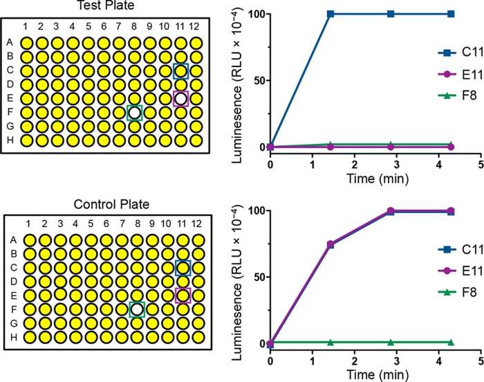 FIGURE 1.