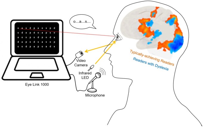 Graphical Abstract